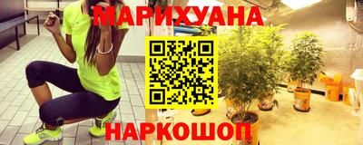 шишки Изобильный